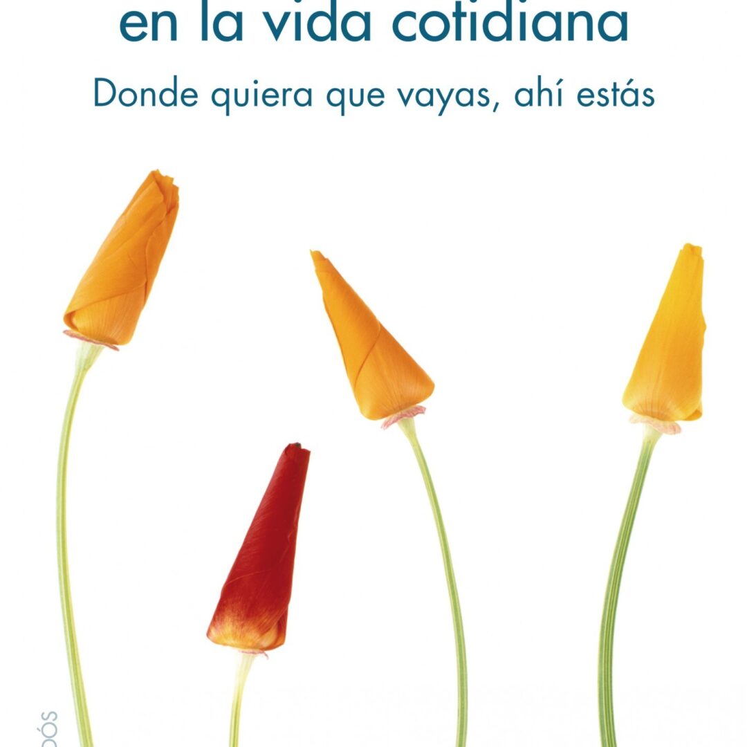 Mindfulness en la vida cotidiana