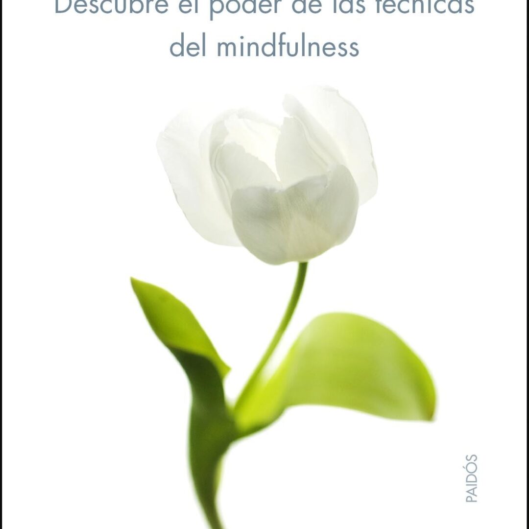 Vencer la depresión: Descubre el poder de las técnicas del mindfulness