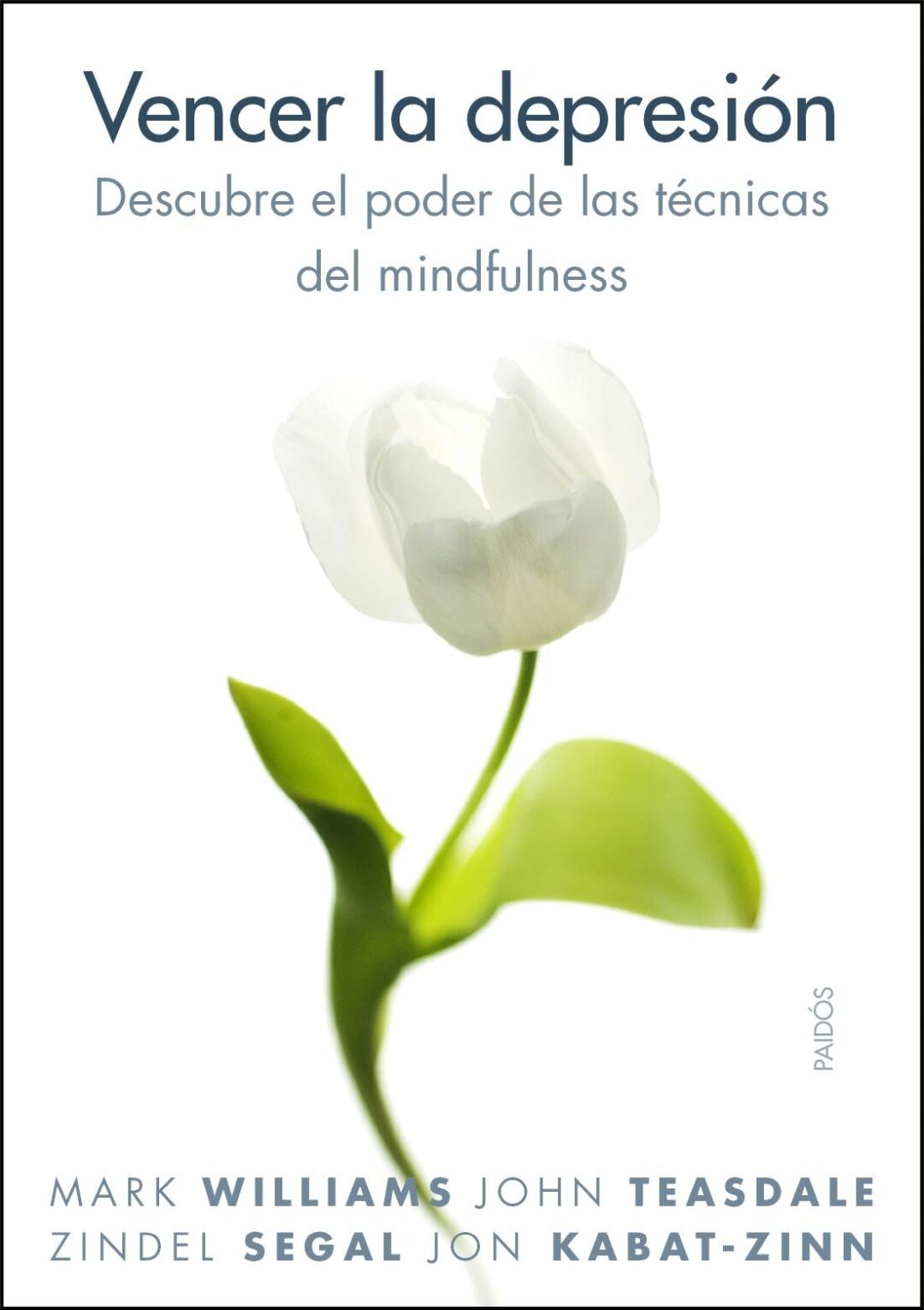 Vencer la depresión: Descubre el poder de las técnicas del mindfulness