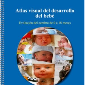 Atlas visual del desarrollo del bebé