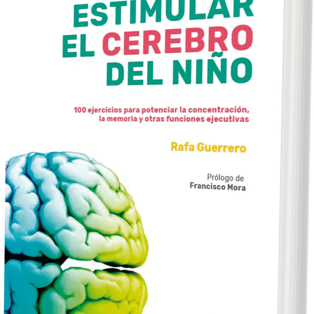 Como estimular el cerebro del niño