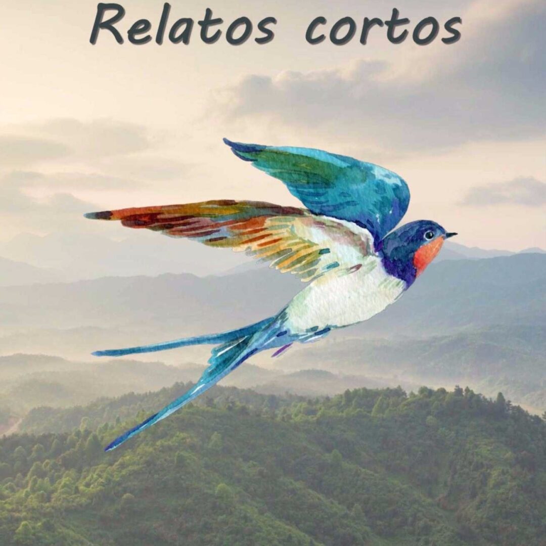 Golondrina relatos cortos