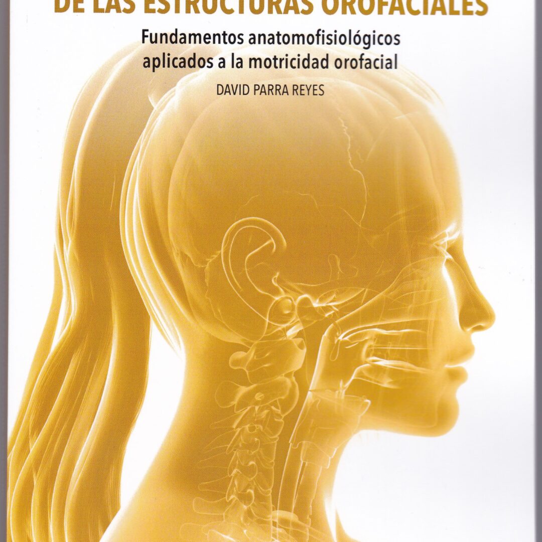 Anatomía muscular de las estructuras orofaciales