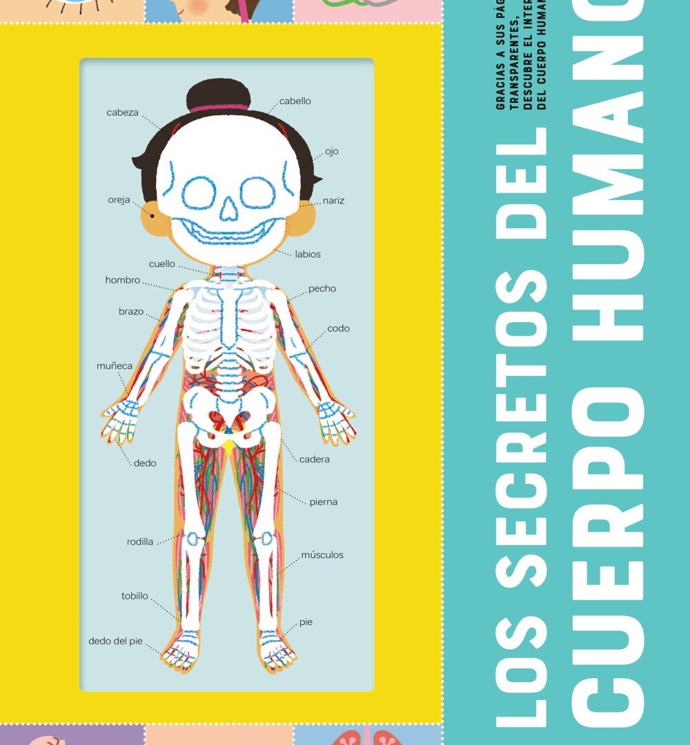 Los secretos del cuerpo humano