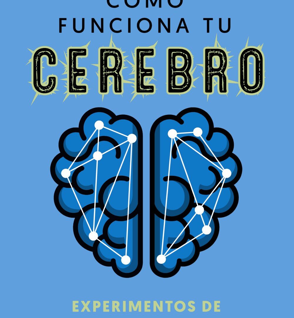 Cómo funciona tu cerebro