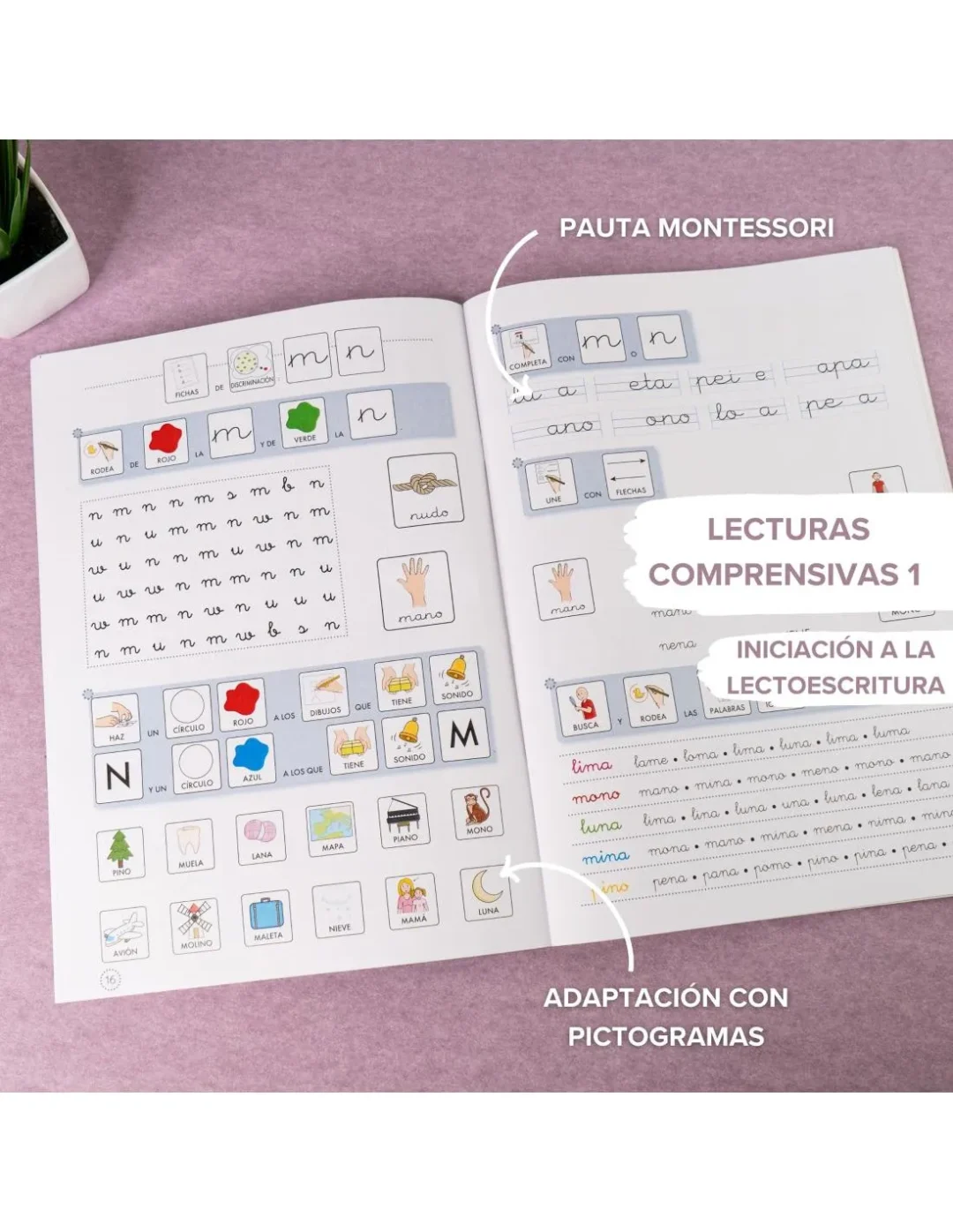 Lecturas comprensivas 1 con pictogramas pauta montessori - Imagen 2