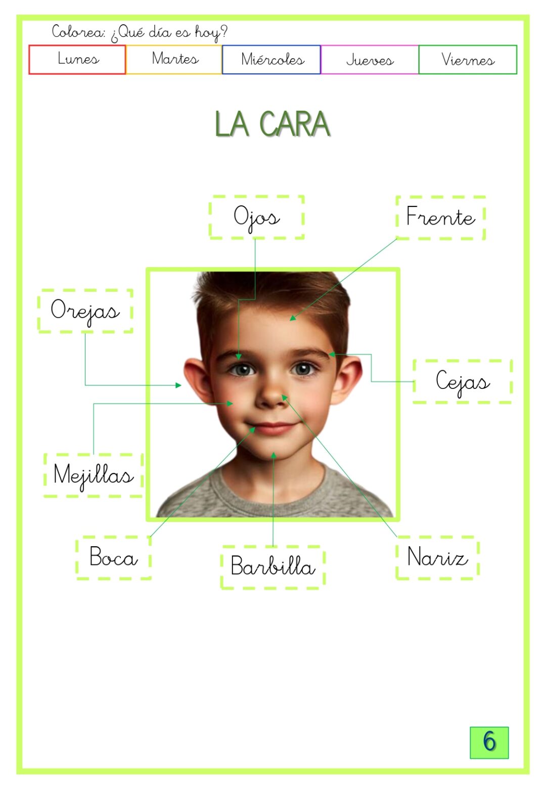 Conocimiento del medio 2º Primaria 1º trimestre - Imagen 4