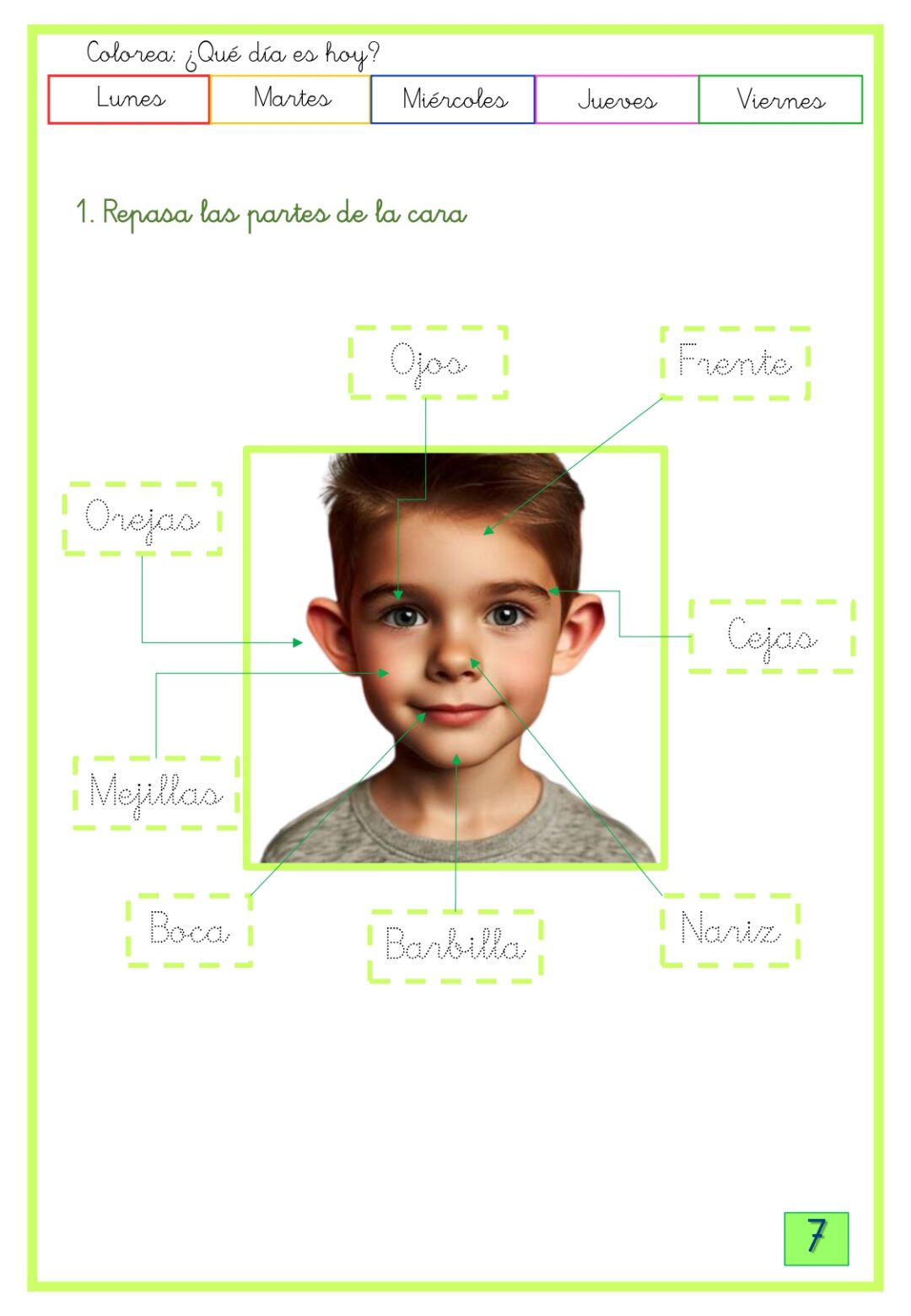 Conocimiento del medio 2º Primaria 1º trimestre - Imagen 5