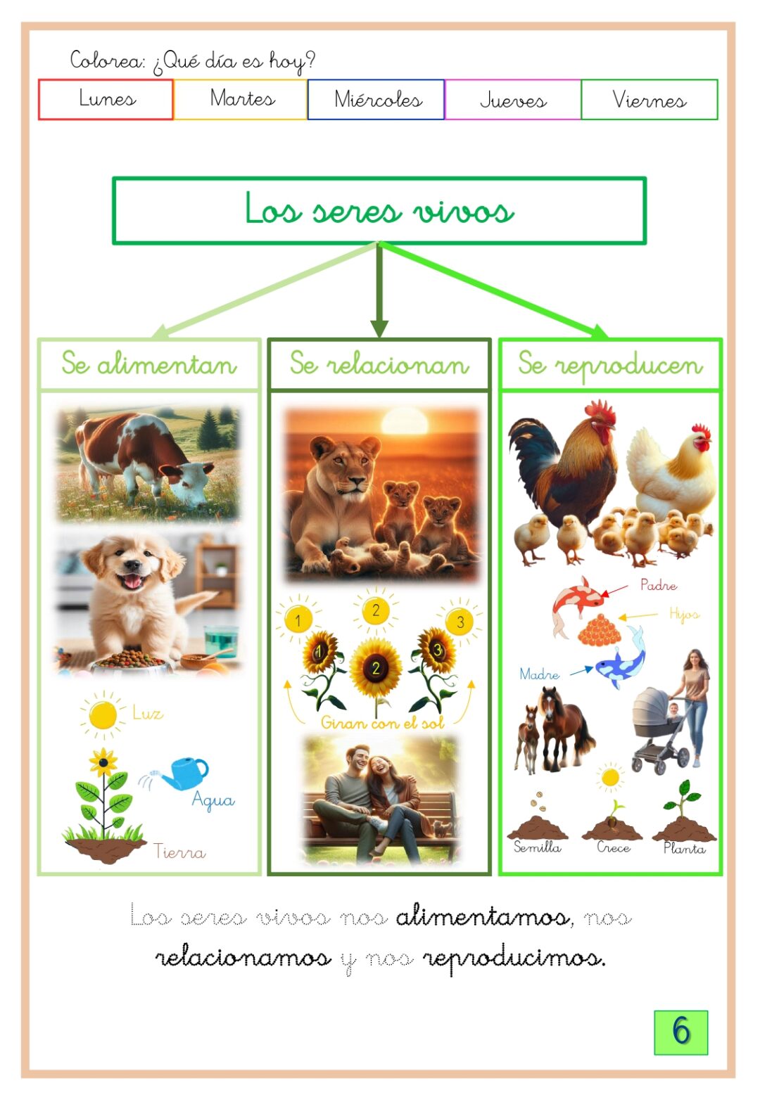 Conocimiento del medio 2º primaria 2º trimestre - Imagen 5
