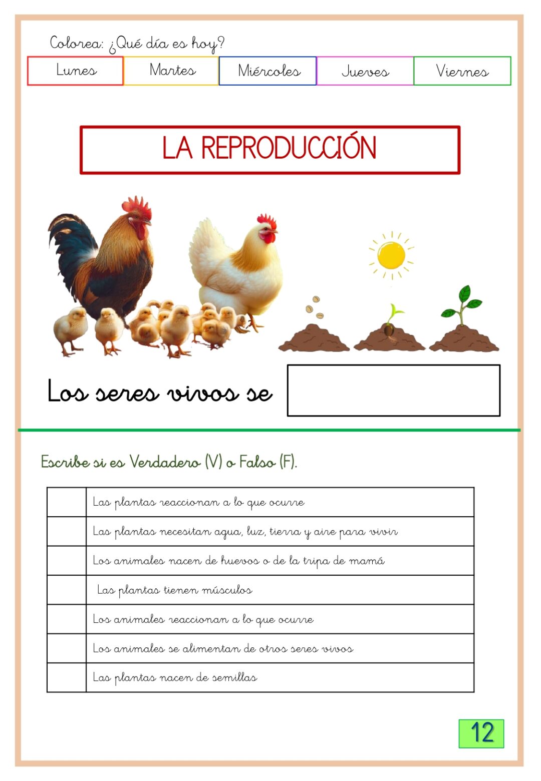 Conocimiento del medio 2º primaria 2º trimestre - Imagen 6
