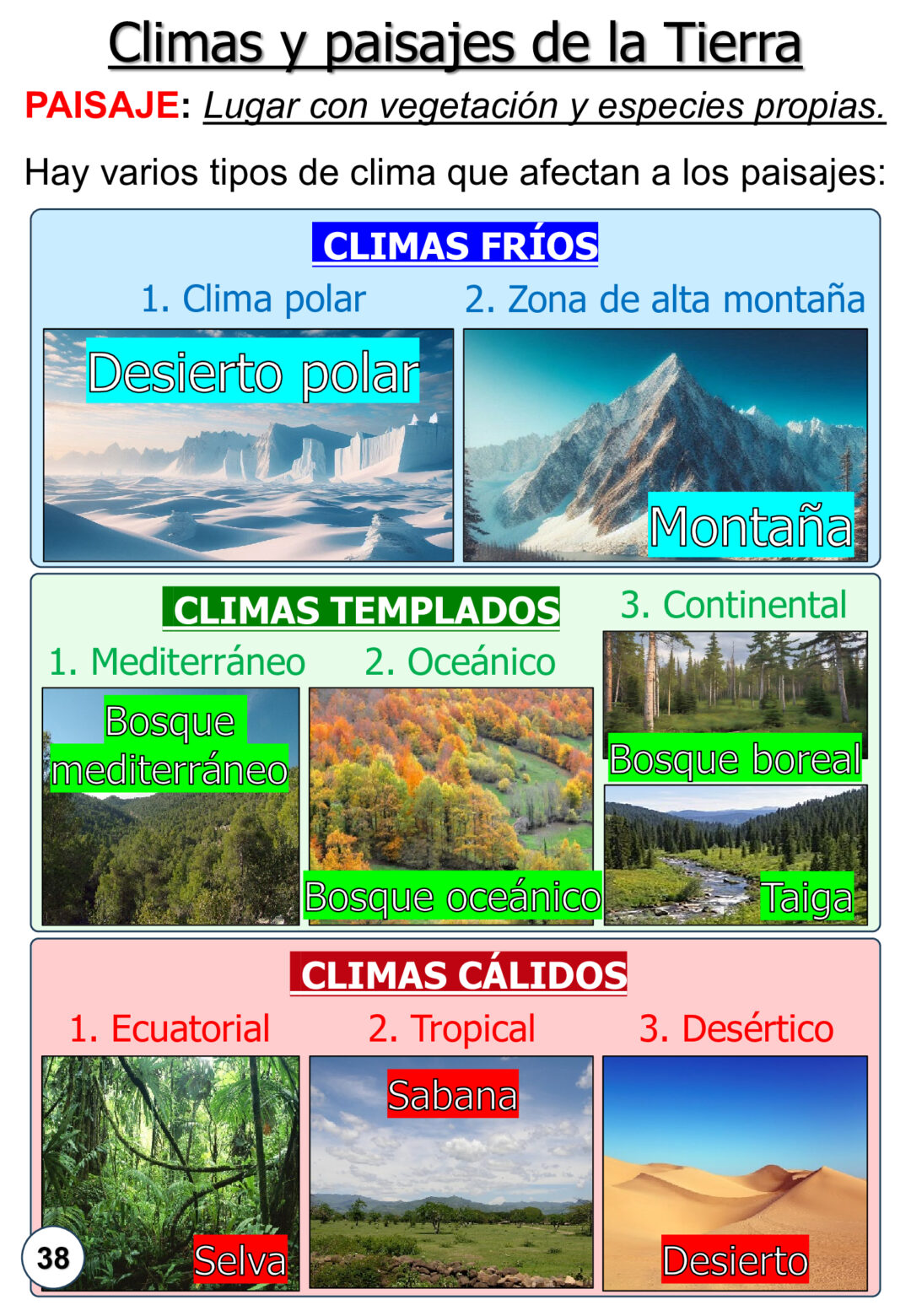 Ciencias sociales 5º primaria dismes - Imagen 11